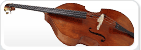 Double Basses